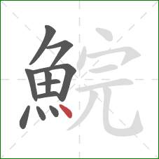 鯇的笔顺第11画：点
