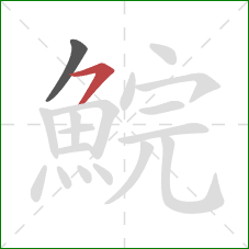 鯇的笔顺第2画：横撇