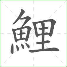 鯉的笔顺