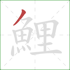鯉的笔顺第1画：撇