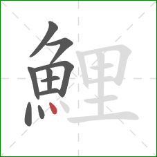 鯉的笔顺第10画：点