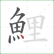 鯉的笔顺第11画：点