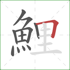 鯉的笔顺第13画：横折