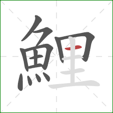 鯉的笔顺第14画：横