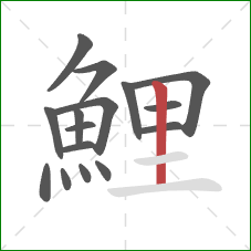 鯉的笔顺第16画：竖