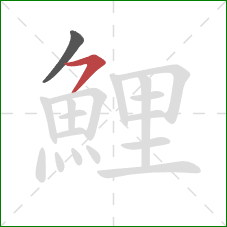 鯉的笔顺第2画：横撇