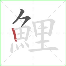 鯉的笔顺第3画：竖