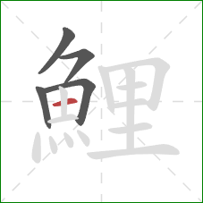 鯉的笔顺第5画：横