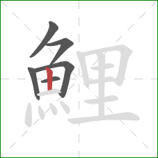 鯉的笔顺第6画：竖