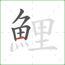 鯉的笔顺第7画：横