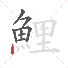 鯉的笔顺第8画：点