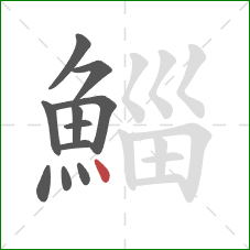 鯔的笔顺第11画：点