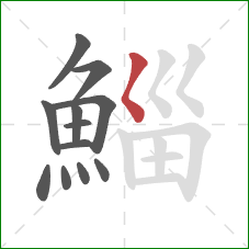 鯔的笔顺第12画：撇点
