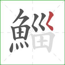 鯔的笔顺第14画：撇点
