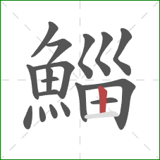 鯔的笔顺第18画：竖