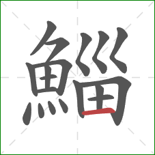 鯔的笔顺第19画：横