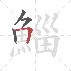 鯔的笔顺第4画：横折