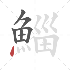 鯔的笔顺第8画：点