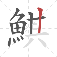 鯕的笔顺第14画：竖