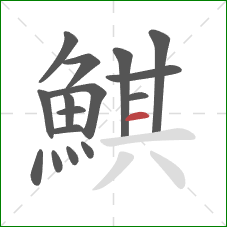 鯕的笔顺第16画：横