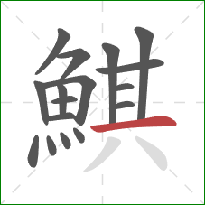 鯕的笔顺第17画：横