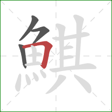 鯕的笔顺第4画：横折