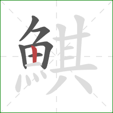 鯕的笔顺第6画：竖
