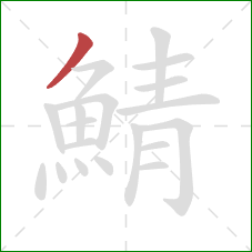 鯖的笔顺第1画：撇
