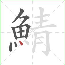 鯖的笔顺第10画：点