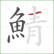 鯖的笔顺第12画：横