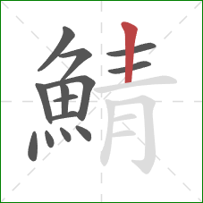 鯖的笔顺第14画：竖