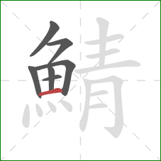 鯖的笔顺第7画：横