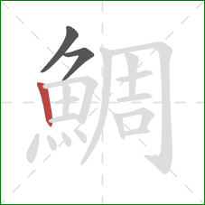 鯛的笔顺第3画：竖