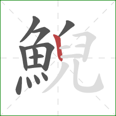 鯢的笔顺第13画:竖 鯢的笔顺第13画:竖