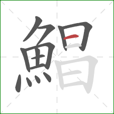 鯧的笔顺第14画:横 鯧的笔顺第14画:横