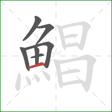 鯧的笔顺第7画:横 鯧的笔顺第7画:横