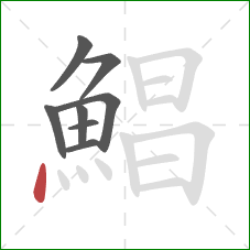 鯧的笔顺第8画:点 鯧的笔顺第8画:点