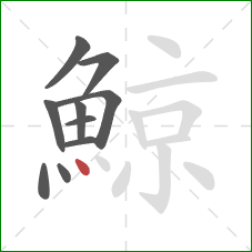 鯨的笔顺第10画：点