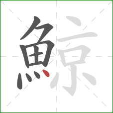 鯨的笔顺第11画：点