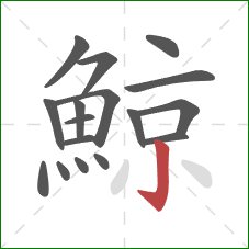 鯨的笔顺第17画：竖钩