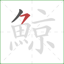 鯨的笔顺第2画：横撇