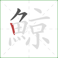 鯨的笔顺第3画：竖