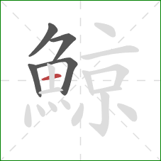 鯨的笔顺第5画：横