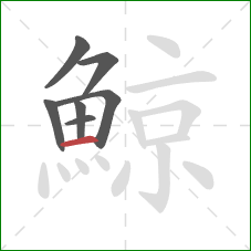 鯨的笔顺第7画：横