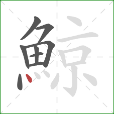 鯨的笔顺第9画：点