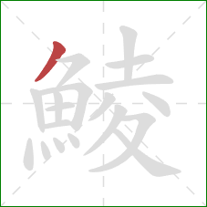 鯪的笔顺第1画：撇