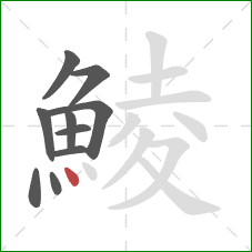 鯪的笔顺第10画：点