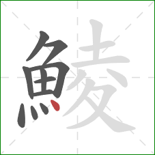 鯪的笔顺第11画：点