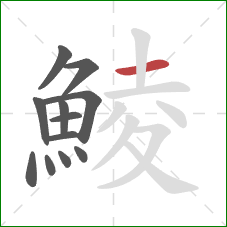 鯪的笔顺第12画：横