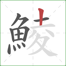 鯪的笔顺第13画：竖